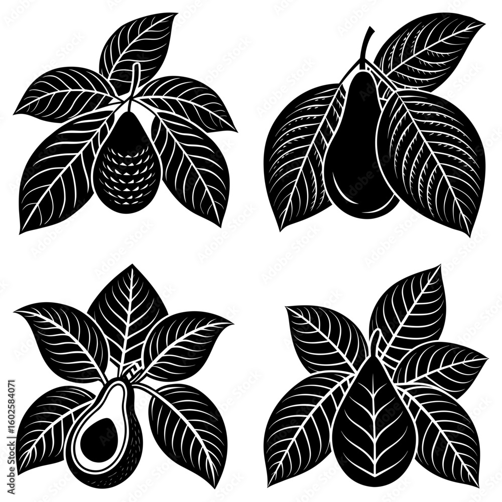 Four avocado illustrations with leaves in black and white showing different avocado styles and textures Four avocado illustrations with leaves in black and white showing different avocado styles and textures