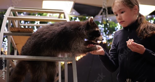 Young performer interacting with raccoon during children's show, sharing lighthearted moment on brightly lit stage with soft background blur