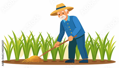 Elderly farmer with a white beard and straw hat, wearing blue, tending to green crops with a rake.