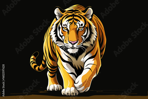 vector of Majestic tiger on black background: A mighty Siberian tiger strides confidently towards the camera, its stripes against a black background.