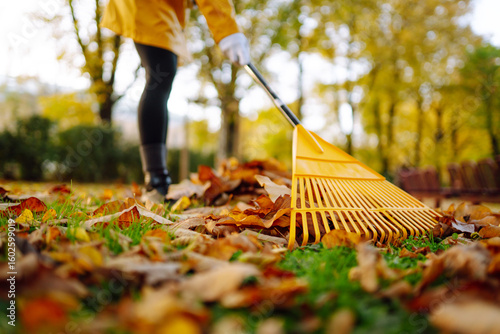 Foto Close-up of a yellow rake collecting autumn leaves in a sunny park