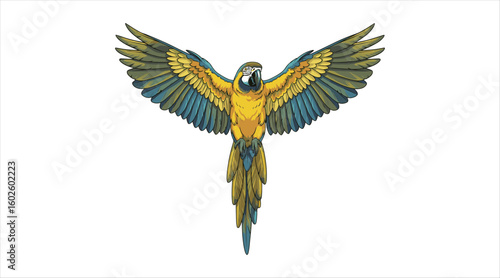Illustration of an Ara macaw parrot displaying its wings on a white backdrop