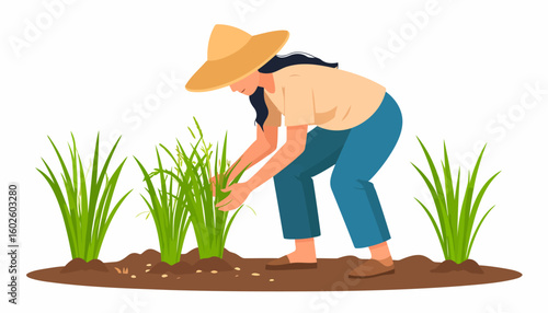 Female farmer in a wide-brimmed hat planting young green rice seedlings in soil.