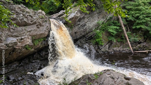 waterfall in the forest