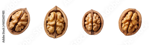Halved walnuts arranged in a row on white. Healthy snack, brain food.  Nuts, food, halves, halves, rows, healthy, nutrition, snack