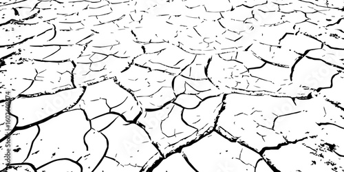 "Abstract grunge black and white cracked earth texture background, symbolizing extreme dryness and drought, Perfect for environmental themes, climate change, desert landscapes"
