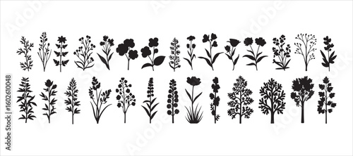 A large collection of vector silhouettes featuring various plants

