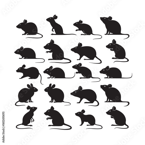 Rat Silhouettes.