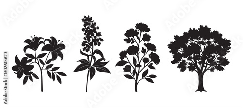 Decorative silhouettes of trees, plants, and flowers collected together.

