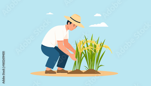 A young farmer wearing a straw hat, crouching down to carefully tend to ripe golden rice plants.