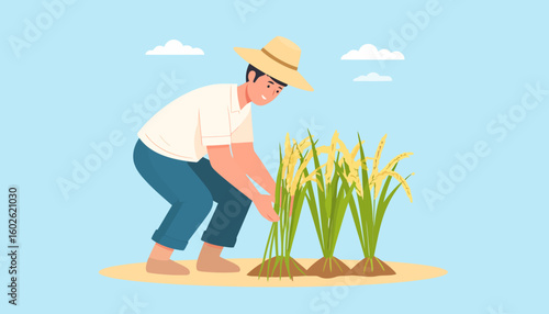 Smiling young farmer in a straw hat harvesting golden rice stalks in a field.