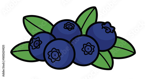 Fresh blueberry fruit with leaf illustration. Healthy organic summer berry for diet and nutrition concepts.