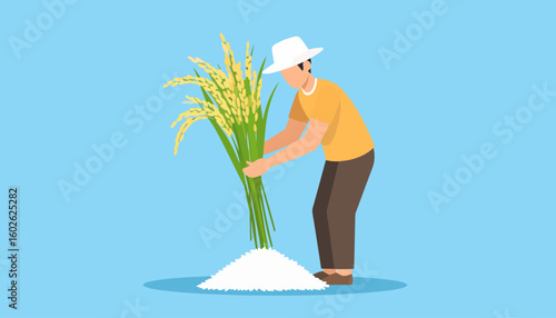 A faceless farmer in a white hat and orange shirt harvesting a large bunch of golden rice stalks over a pile of white grains.
