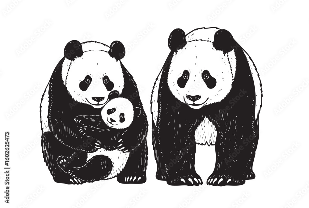 Naklejka premium A charming vector illustration of a panda family, perfect for nature and animal themes. Wildlife Animals
