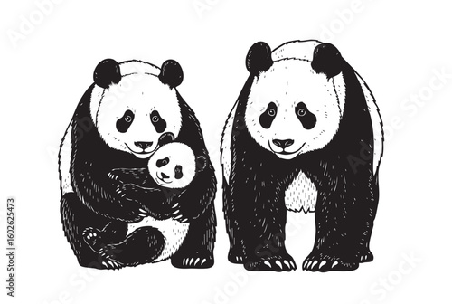 A charming vector illustration of a panda family, perfect for nature and animal themes. Wildlife Animals