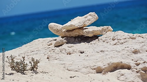 stone in the sand