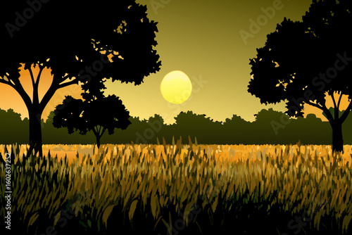 Golden Sunset Over a Field of Grass with Silhouetted Trees in the Background