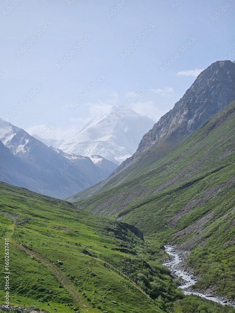 Fototapeta premium travel