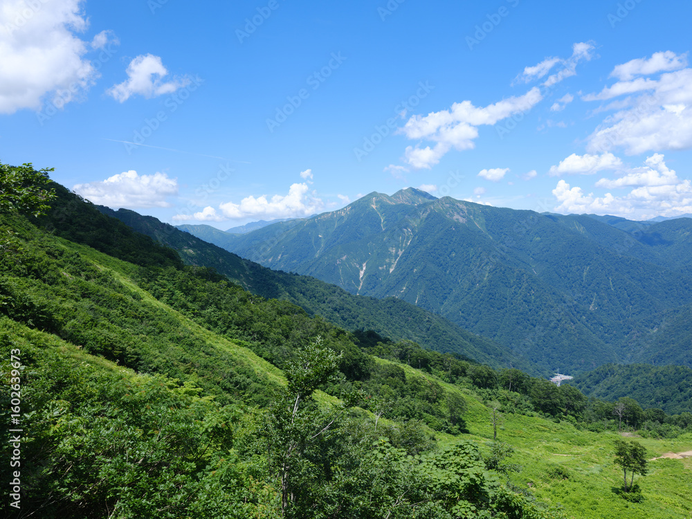 Fototapeta premium 夏の山 青空と雲