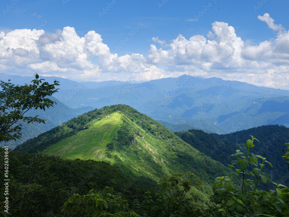 Fototapeta premium 夏の山 青空と雲