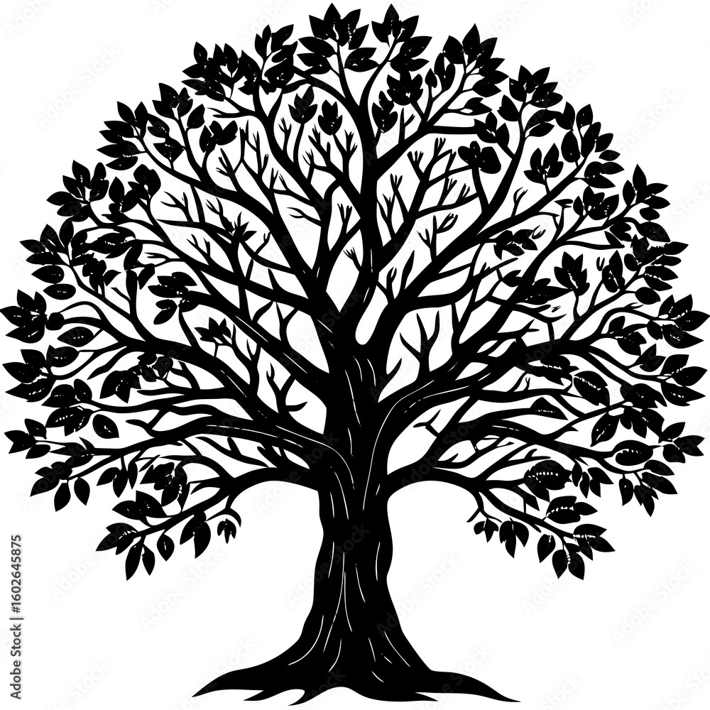 Obraz premium Bare Tree Shadow Art