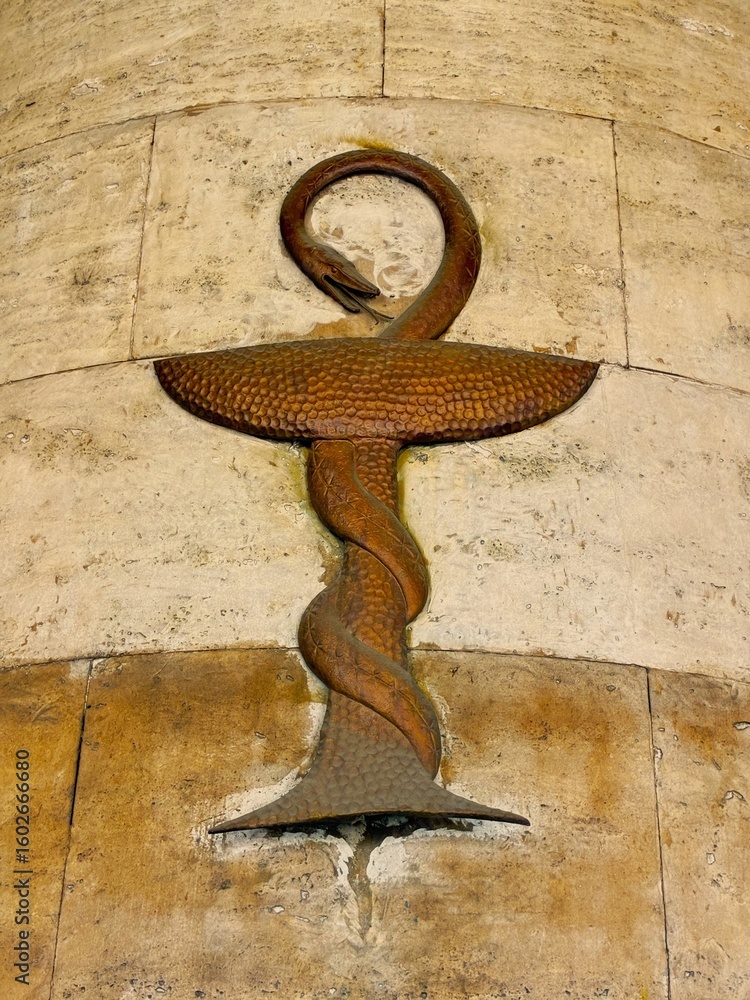 Φωτογραφία The facade of a Budapest building decorated with a bronze snake.