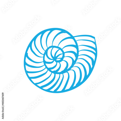 Round shell in doodle style. Sea snail shell. Twisted spiral shell. Hand drawn vector illustration isolated on white background.