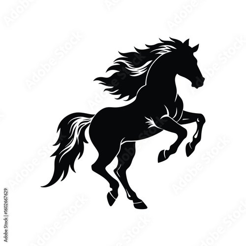 horse jumping, action, animal horse jumping, action, animal 