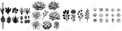 Modern illustration featuring a set of hand-drawn line drawing succulent plants isolated on a white background