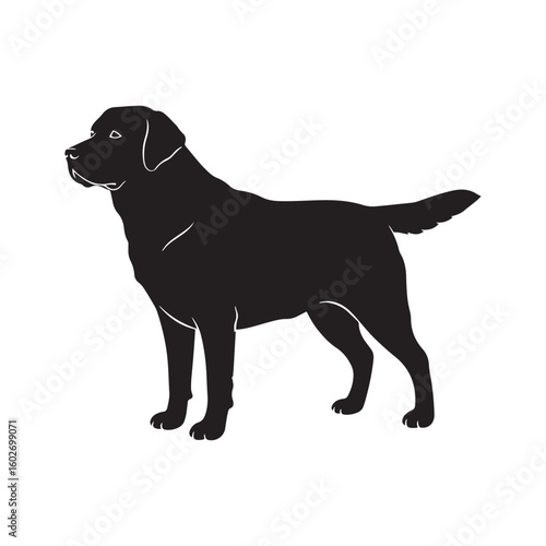 Simple black and white vector design featuring a labrador retriever for banners and advertisements
