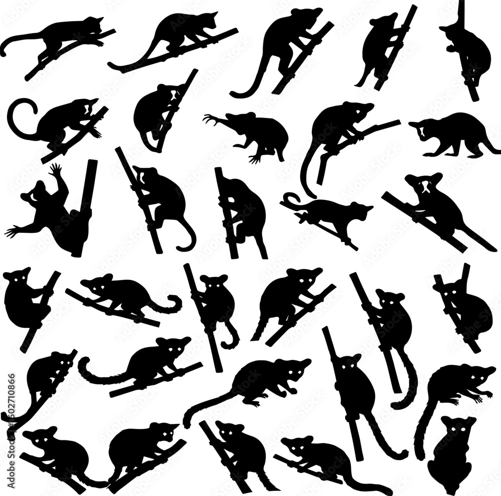 Obraz premium A collection of possum silhouettes in various poses, climbing, standing, and sitting on branches, presented against a white background.