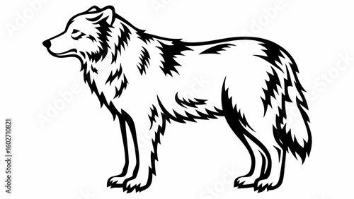 A detailed black and white line drawing of a standing wolf with a bushy tail and thick fur texture