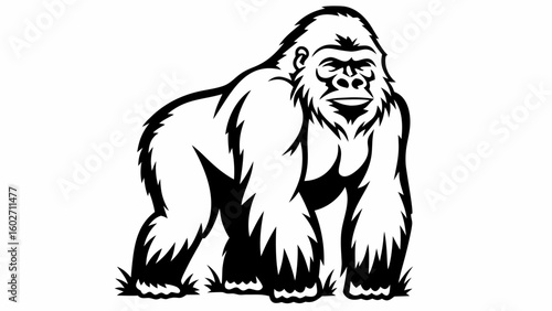Illustration of a black and white gorilla standing on the ground looking forward with a serious expression