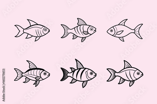 Phoenix Tetra, aquarium fish line art illustration