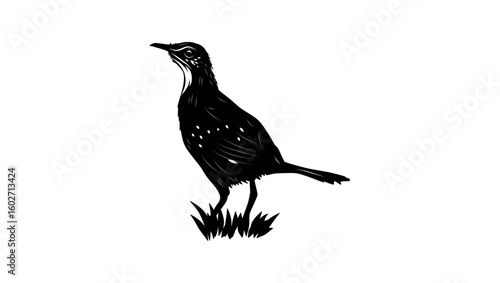 Bicol Ground-Warbler bird, black isolated silhouette