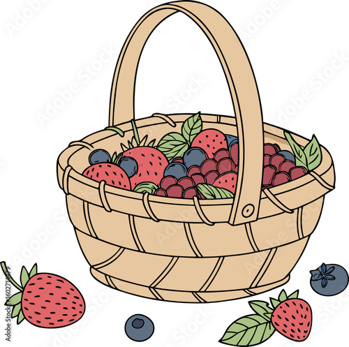traditional rural basket of berries vector 