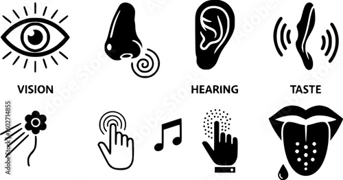 Human sense icons. Five human senses icons. Vision smell hearing touch taste senses fillings. Five fillings icons. Vector Illustration. Vector Graphic. EPS 10