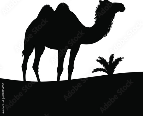 Black camel silhouette with desert plant dromedary