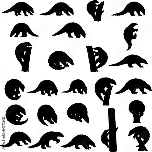 A collection of pangolin silhouettes in various poses, including walking, climbing, and curled up, presented against a white background.
