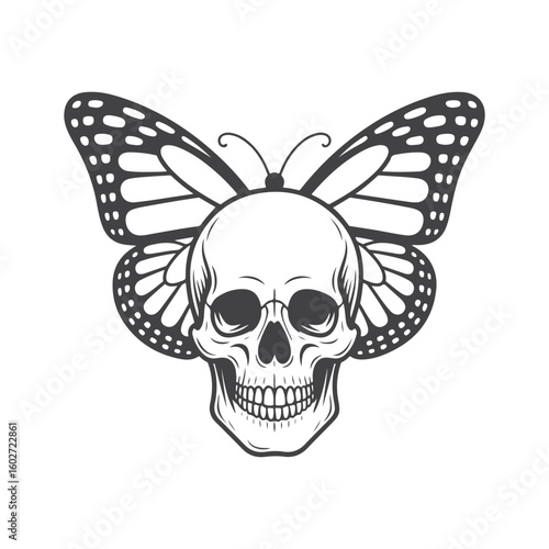 Skull with butterfly wings insect death