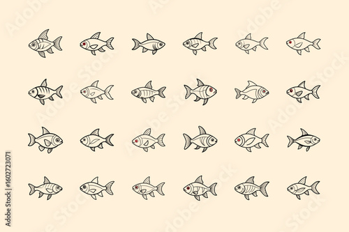 Red Eye Tetra, aquarium fish line art illustration