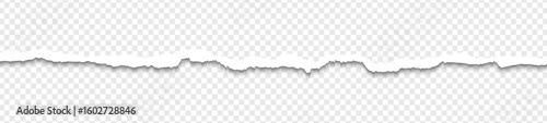 Realistic torn paper edges vector, paper strips