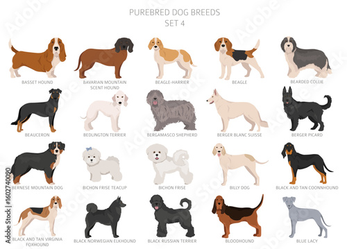 Collection of all dog breeds. Collection in 28 sets. Realistic image of dog breeds with different coat colors. Vector illustration