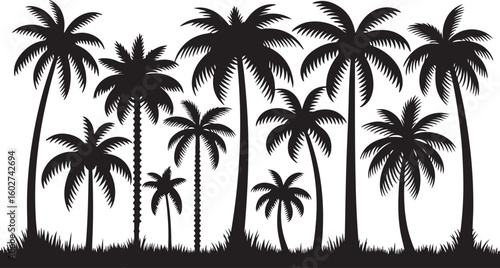 Palm Tree Silhouette Vector with Tropical Island Vibes
