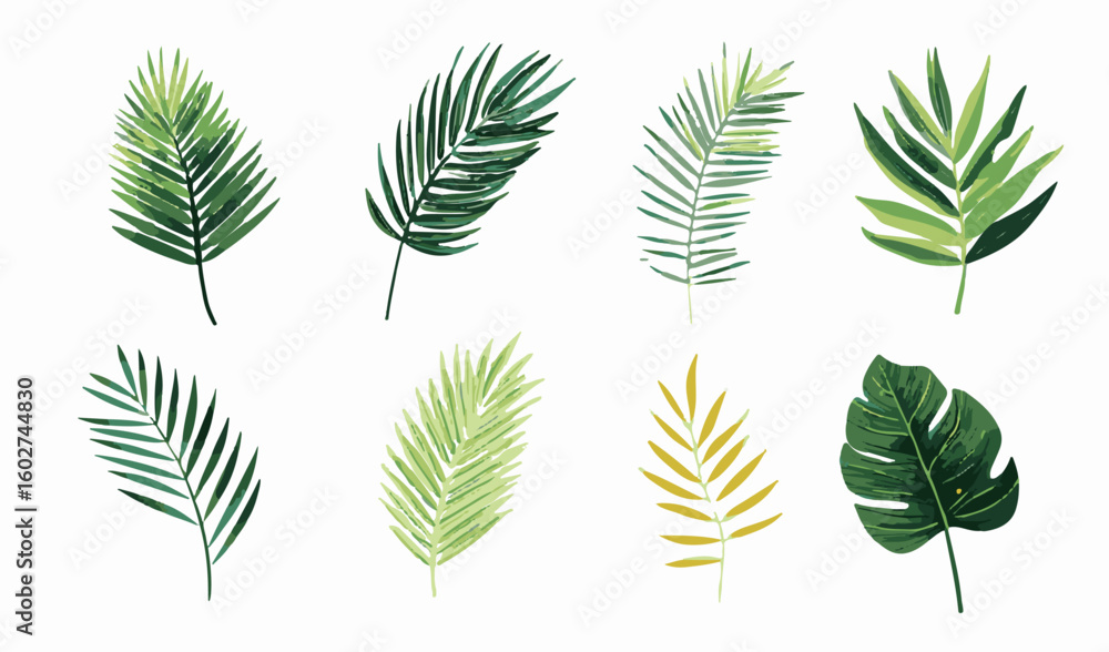 Vector illustration showcases various tropical and palm leaves in a flat, modern botanical style. Organic, bold shapes creating a fresh, natural vibe. Vector illustration showcases various tropical and palm leaves in a flat, modern botanical style. Organic, bold shapes creating a fresh, natural vibe.