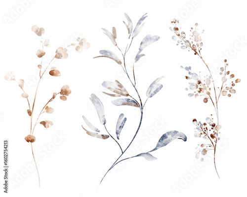 Watercolor clipart of dry plants and herbs. Hand-drawn botanical elements for design, invitation, card, print, wedding, meadow, floral set, isolated illustration, nature, poster, collection.