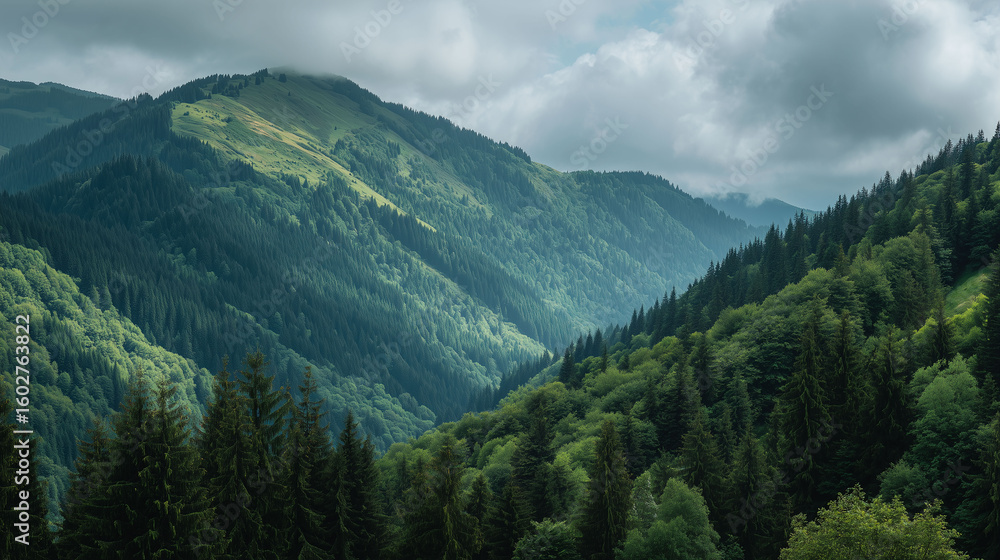 Fototapeta premium Lush green mountains with forest-covered slopes, daylight, partly cloudy sky, peaceful and fresh natural background