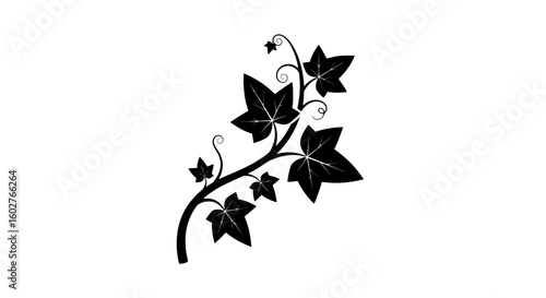 Silhouette of a climbing ivy branch with stylized leaves.