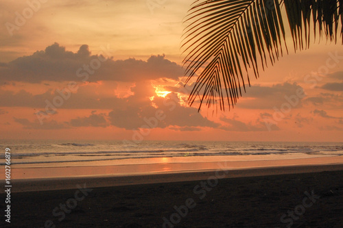 A sunset over the ocean is partially obscured by clouds, with a palm frond in the foreground.