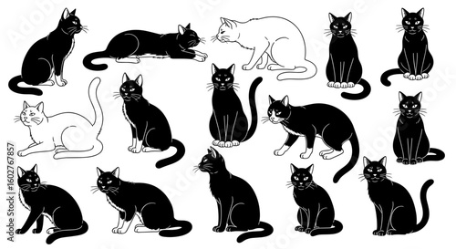 Cats in different poses and styles showcasing playful and relaxed moods